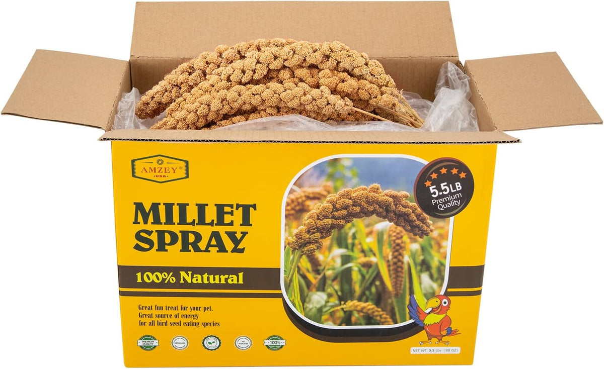 Amzey 5.5 LB Spray Millet for Parakeets, 100% Natural Dried Millet Grain for Birds, Non-GMO Bird