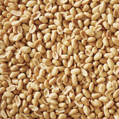 Shelled Peanuts Seeds Combo Wild Bird Food - 10 Pounds- 5 Pounds Combo Pack of 2 I No Grow Seed I