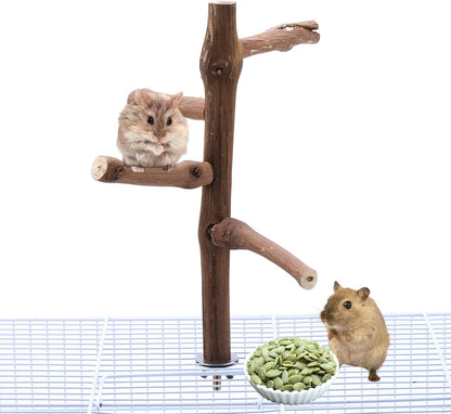 Bird Perch Stand Toy, Natural Grapevine Wood Parrot Perch Bird Cage Branch Accessories for