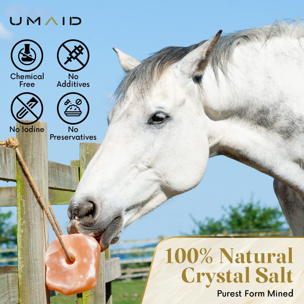 UMAID Himalayan Salt Lick 6 lbs. on Rope for Horses, Deer, Goats, Cow, Sheep, Cattle, Alpacas, and