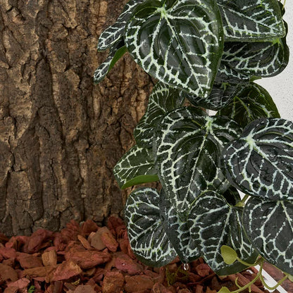Reptile Plants for Terrarium, Amphibian Habitat Decor Artificial Hanging Plants with Suction Cup