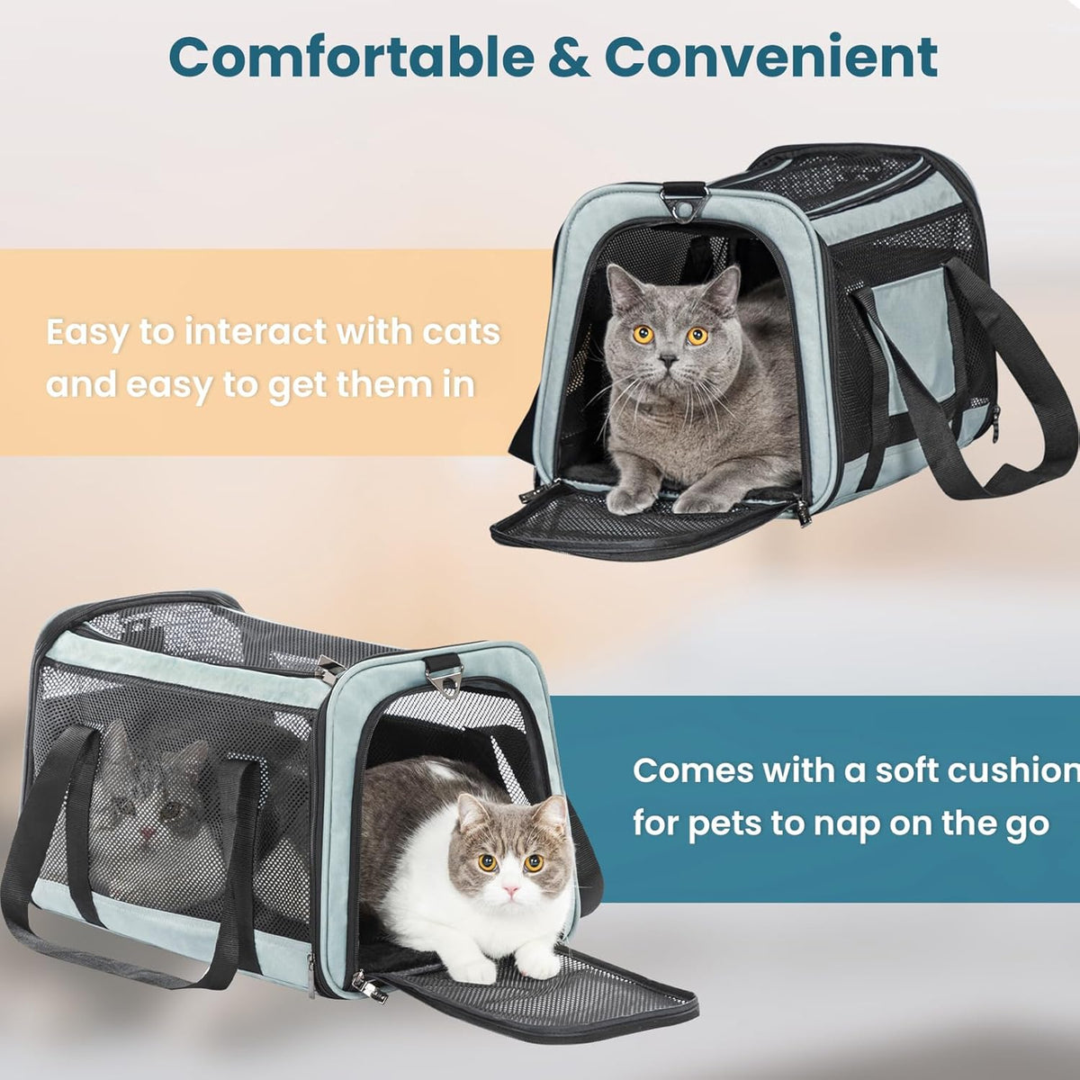 Petsfit Cat Carrier Dog Carrier, Large Capacity Lightweight Soft-Sided Pet Carrier for Travel, with