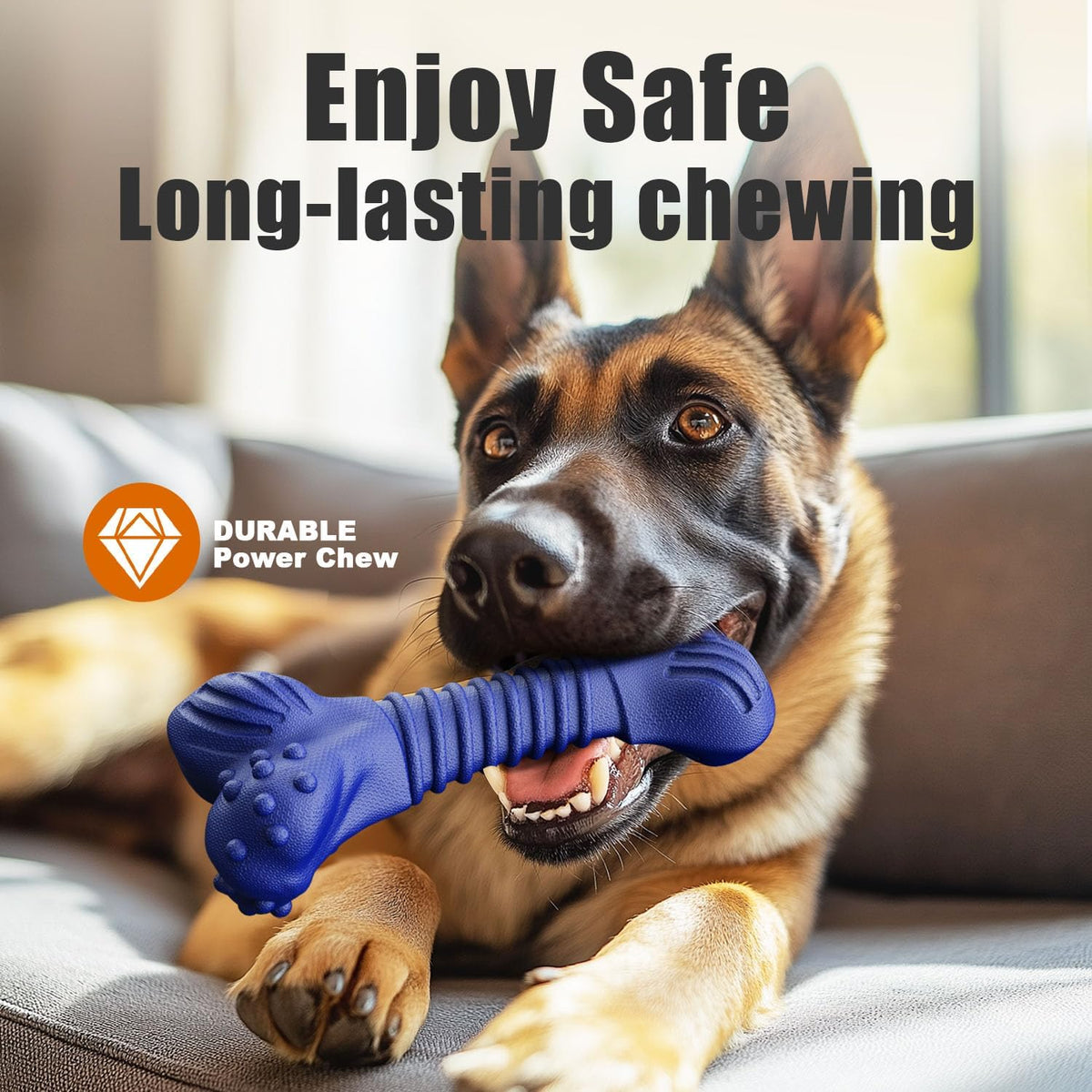 Urban Durable Rubber Chew. Focused chewing relief for energetic dogs who need structure.