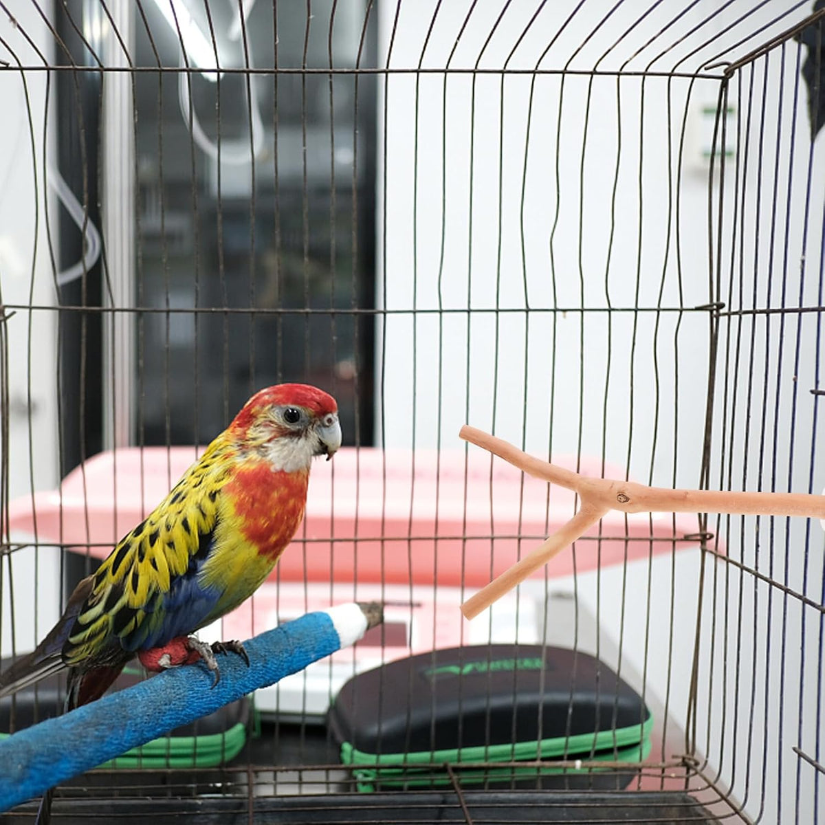 2pcs Bird Parrot Perch Stand Poles, Natural Wooden Parrot Perch for Cage, Branches Fork Rod for