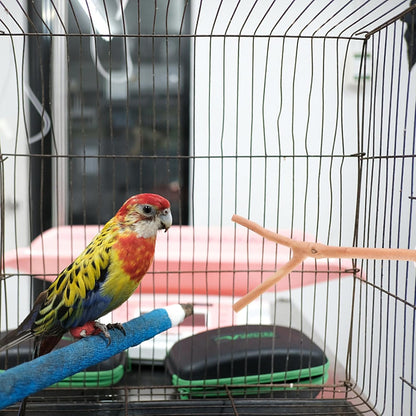 2pcs Bird Parrot Perch Stand Poles, Natural Wooden Parrot Perch for Cage, Branches Fork Rod for
