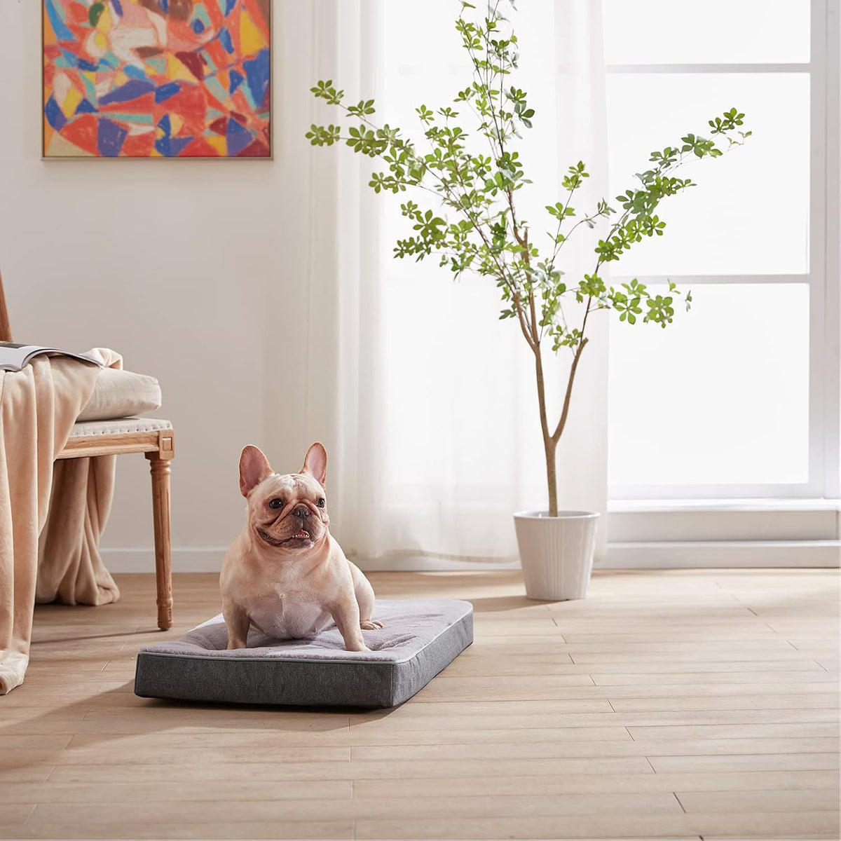 Orthopedic Memory Foam Dog Bed,Cooling Dog Beds for Medium Dogs, Washable Pet Beds for Crate with