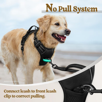 rabbitgoo Dog Harness No Pull with 2 Leash Clips, Adjustable Soft Padded, Reflective Oxford No