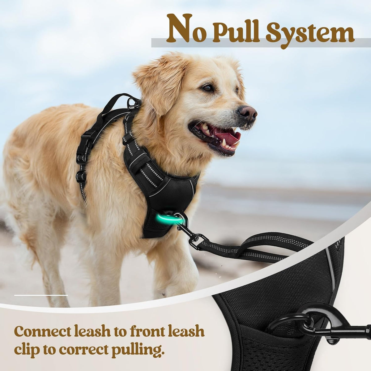 rabbitgoo Dog Harness No Pull with 2 Leash Clips, Adjustable Soft Padded, Reflective Oxford No