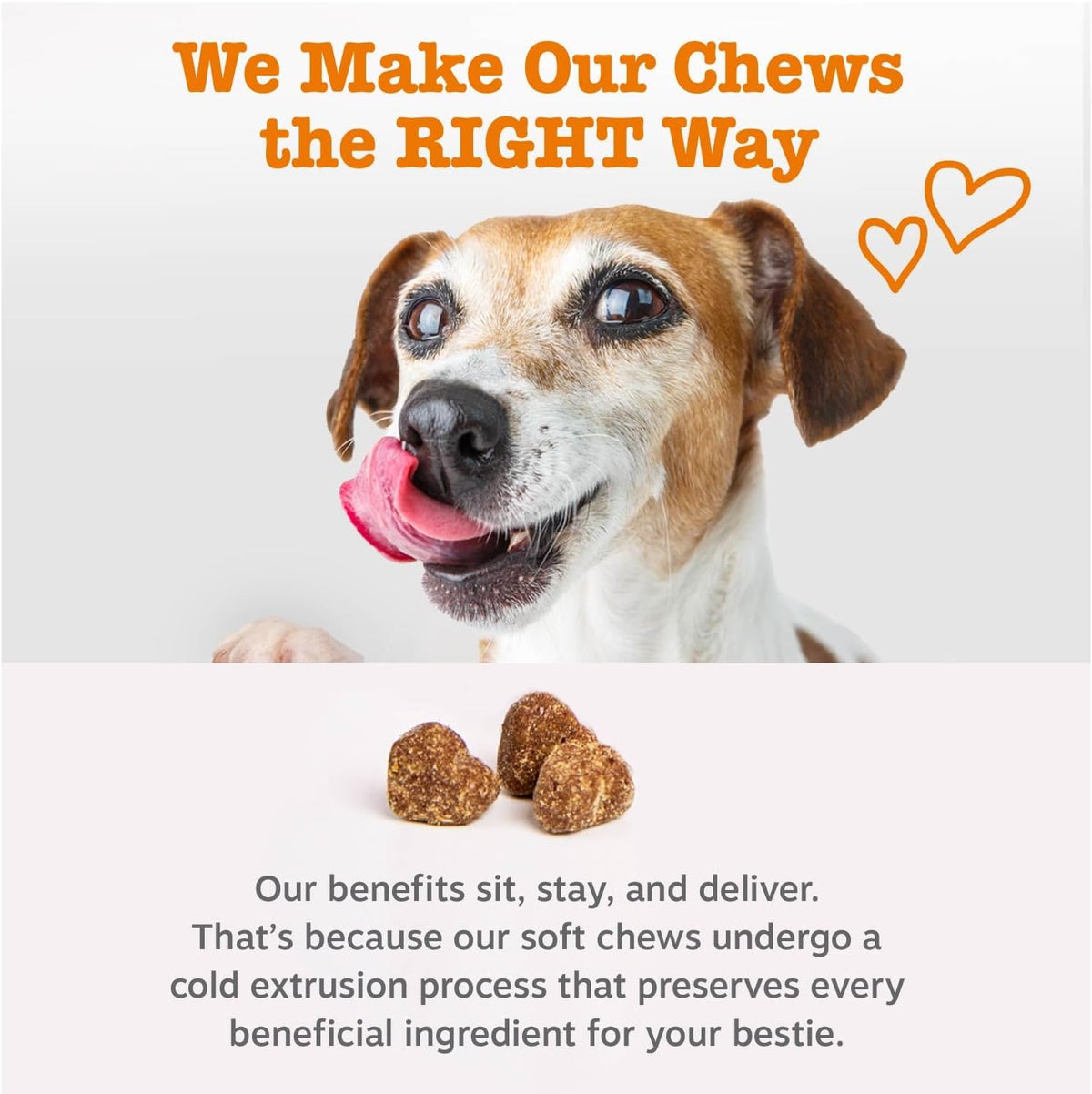 Zesty Paws Dog Multivitamin, Chewable Dog Vitamins and Supplements for Hip & Joints, Skin & Coat