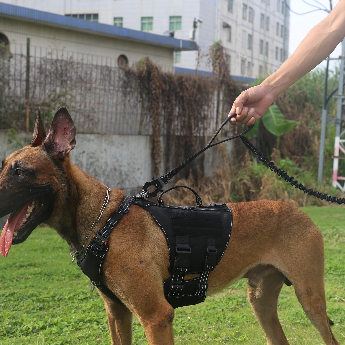 ICEFANG Tactical Dog Leash,K9 Training Walking Bungee Lead with 2 Control Handle,Heavy Duty Quick