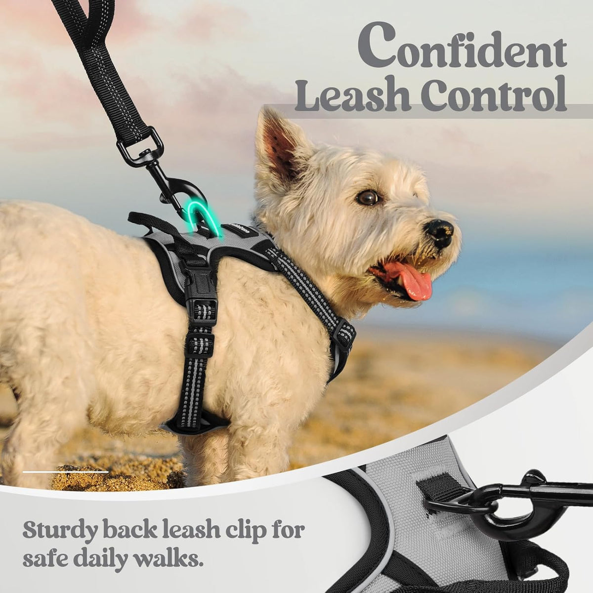 rabbitgoo Dog Harness No Pull with 2 Leash Clips, Adjustable Soft Padded, Reflective Oxford No