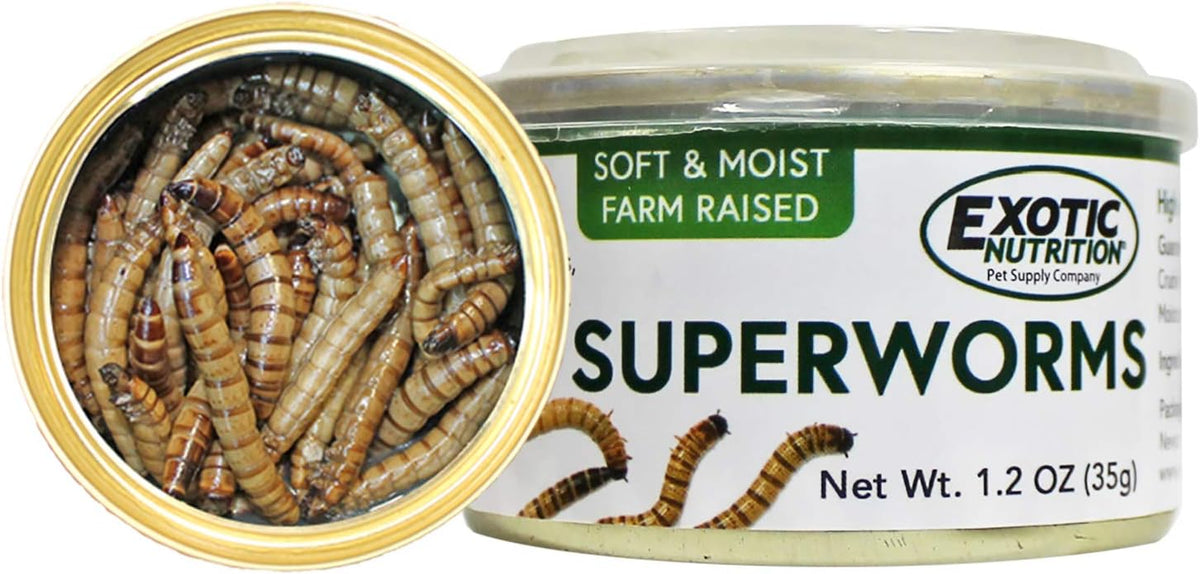 Canned Superworms (1.2 oz.) - Healthy High Protein Insect Treat - Hedgehogs, Sugar Gliders