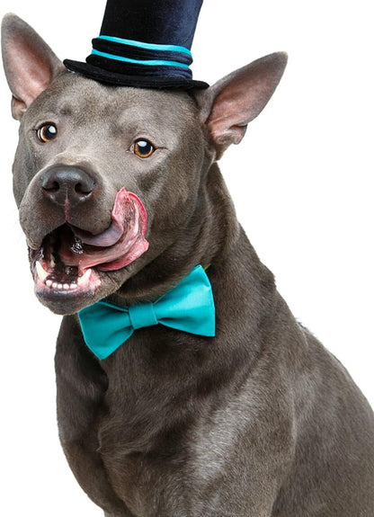 Dog Collar Bowties - 20 PCS Birthday Gift Adjustable Pet Bow Ties for Boys Girls Puppy Cats