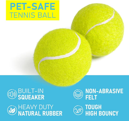 Prime Pets Tennis Balls for Dogs, 2.5 Inch Squeaky Dog Balls for Play & Fetch, Squeaky Tennis Balls