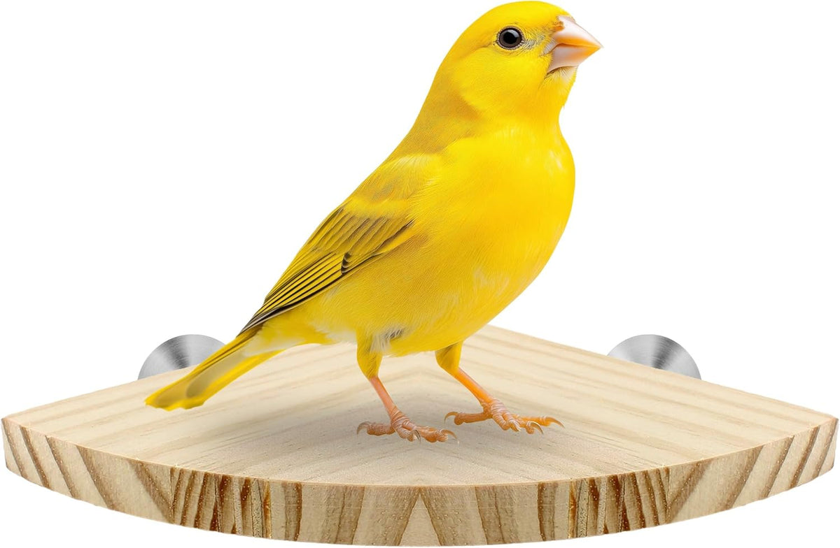 Bird Perch Corner Stand for Bird Cage Corner Platform Wood Bird Perches Corner Shelf Rest for Birds
