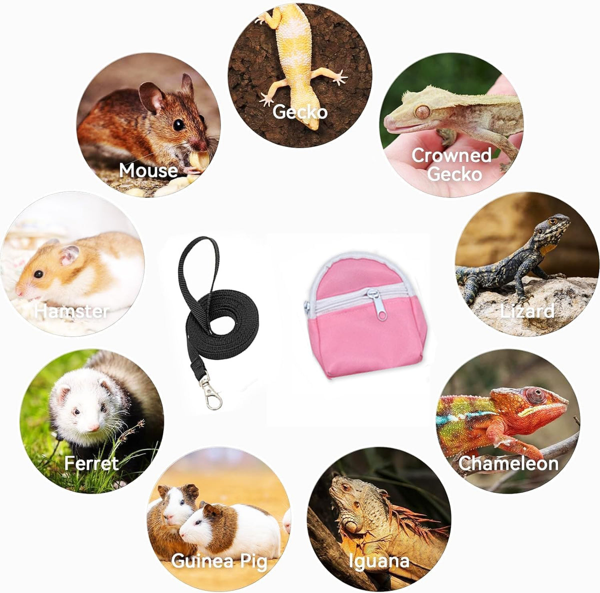 Leopard Gecko Backpack Carrier,Reptile Portable Backpack Carrier with Small Backpack Harness Leash
