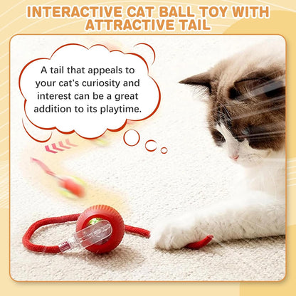 Interactive Cat Toys for Indoor Cats, Rechargeable 360° Automatic Moving Cat Toy for Bored Indoor