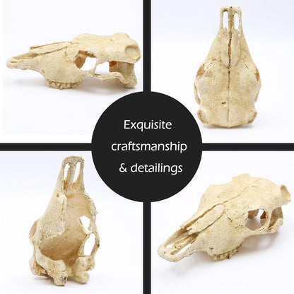 Aquarium Skull Décor Fish Hideout Cave Decorations Betta Tarantula Reptile Snake for Terrarium