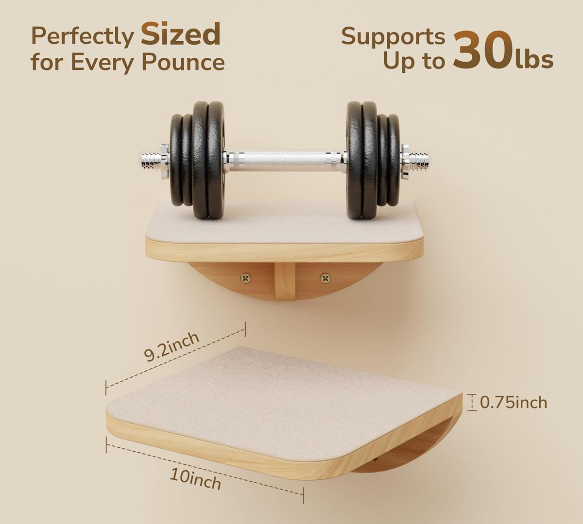 Cat Wall Shelf & Window Perch Combo, Wood Cats Wall Furniture with Soft Foam Curved Bed and