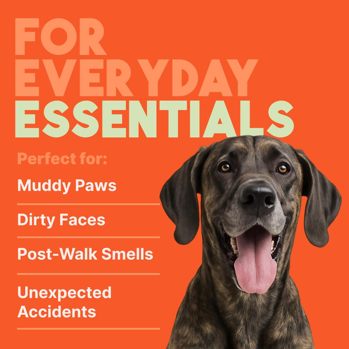 TropiClean Papaya & Coconut Luxury 2-in-1 Pet Wipes, 100ct - Wipes for Dogs & Cats - Gently Removes