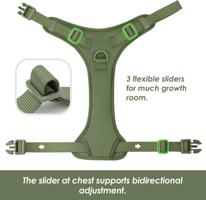 No Pull Dog Harness, Puppy Vest with Front Clip for Small Medium Large Sized Dog (Misty Green,XL)