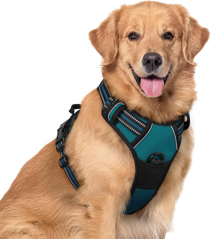 rabbitgoo Dog Harness No Pull with 2 Leash Clips, Adjustable Soft Padded, Reflective Oxford No