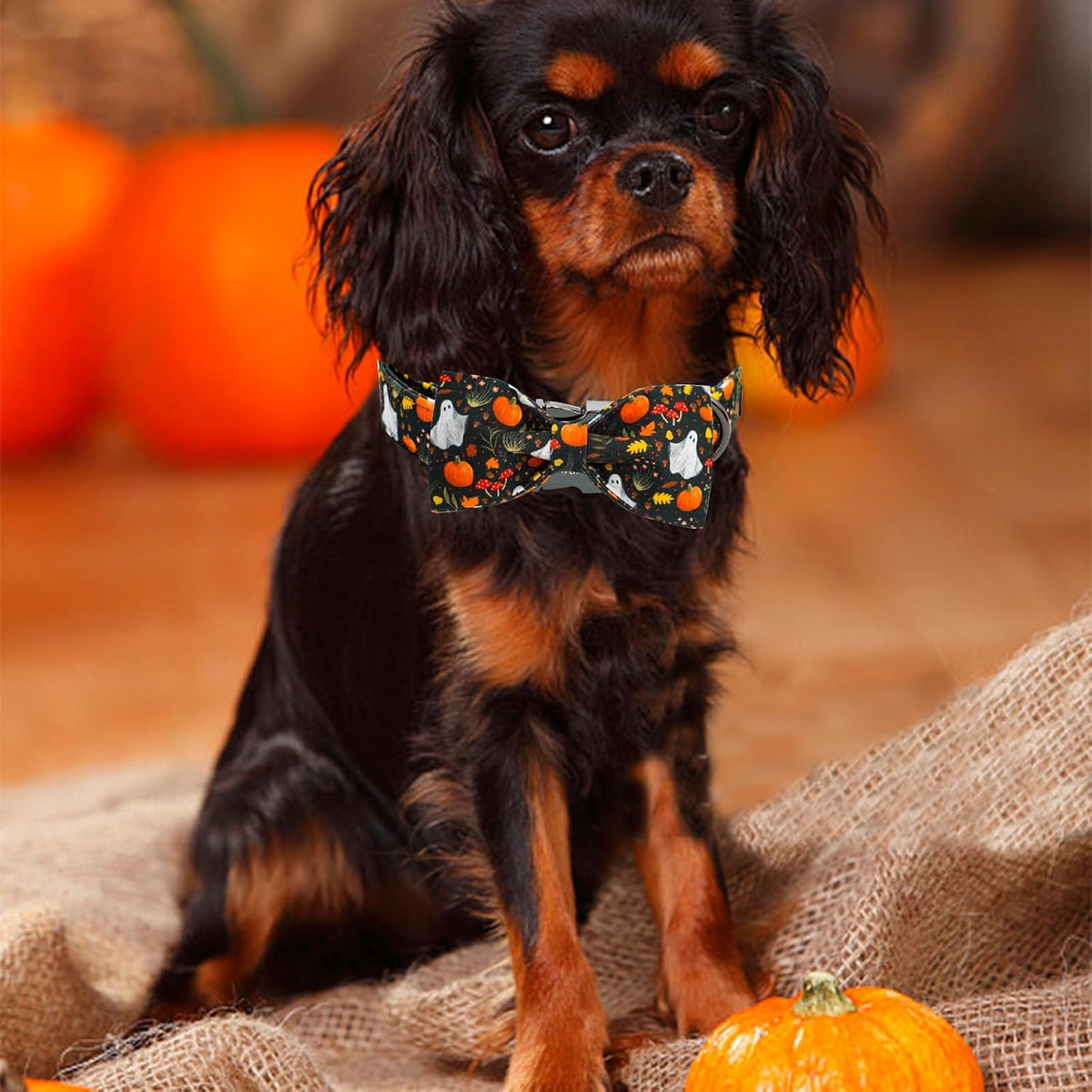 Elegant little tail Fall Dog Collars, Ghosts Pumpkin Print Halloween Pet Collar Puppy Male Cotton
