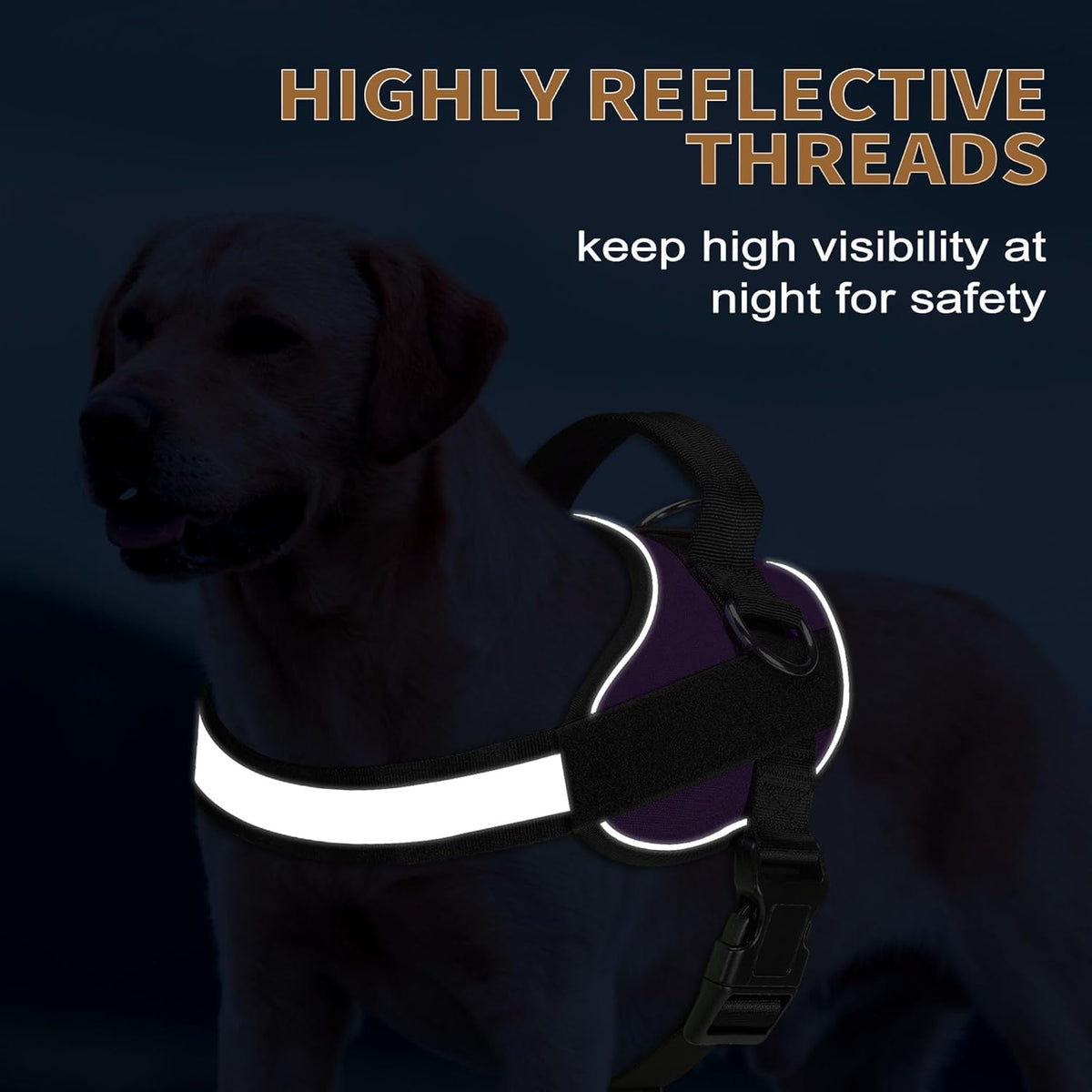 Haapaw Essential Dog Harness, No Pull Pet Vest with 3 Leash Clips, No Choke, Reflective, Adjustable