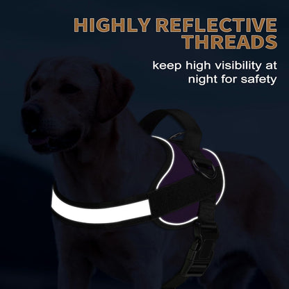 Haapaw Essential Dog Harness, No Pull Pet Vest with 3 Leash Clips, No Choke, Reflective, Adjustable