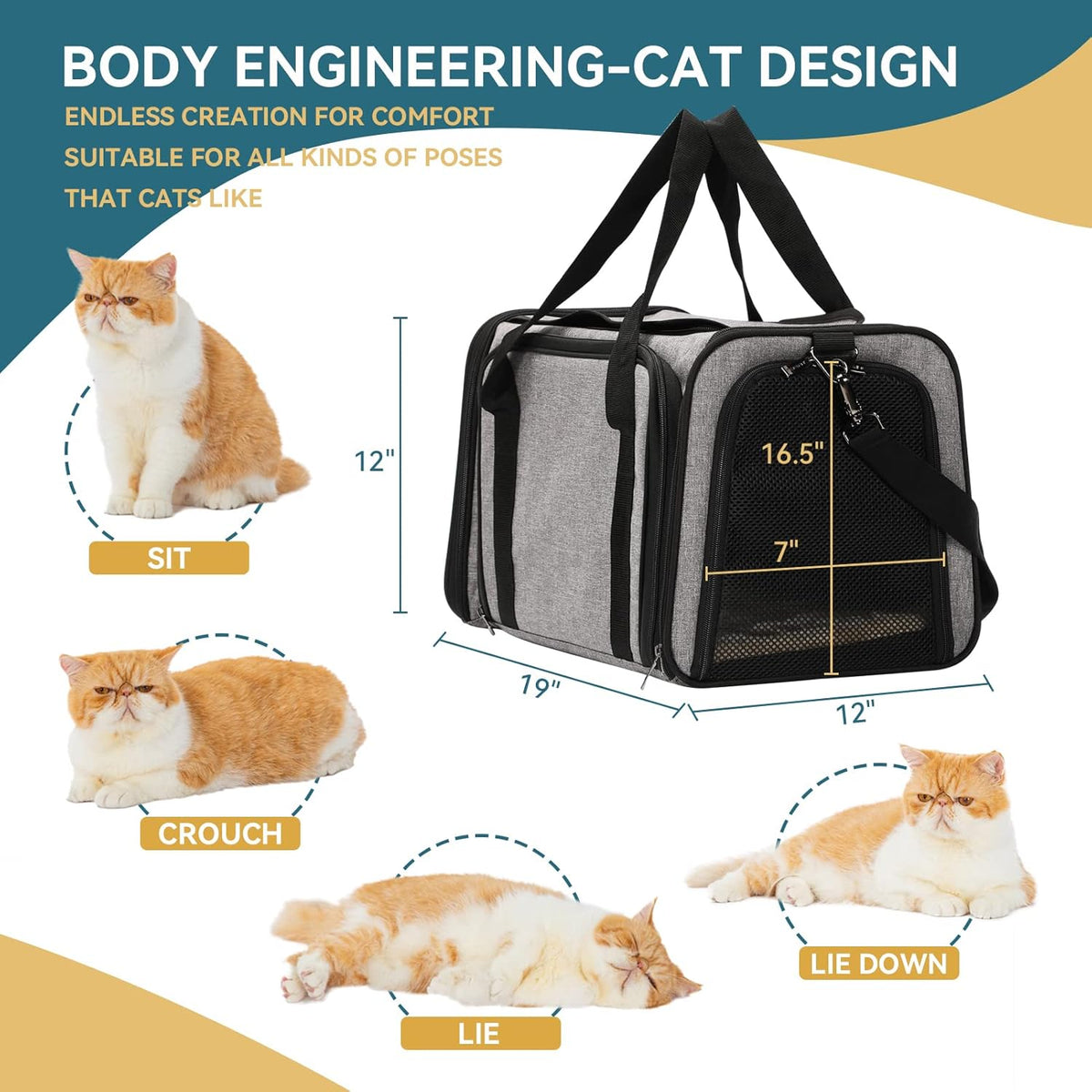 Petsfit Expandable Pet Carrier for Cat Or Puppy Up to 18 Pounds, Square Extension Add More Space