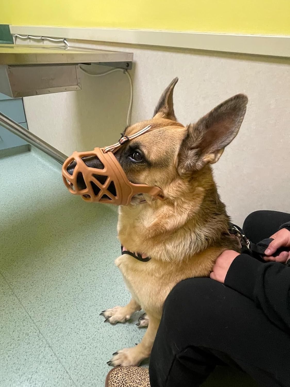 Mayerzon Dog Muzzle, Breathable Basket Muzzles for Small, Medium, Large and X-Large Aggressive Dogs