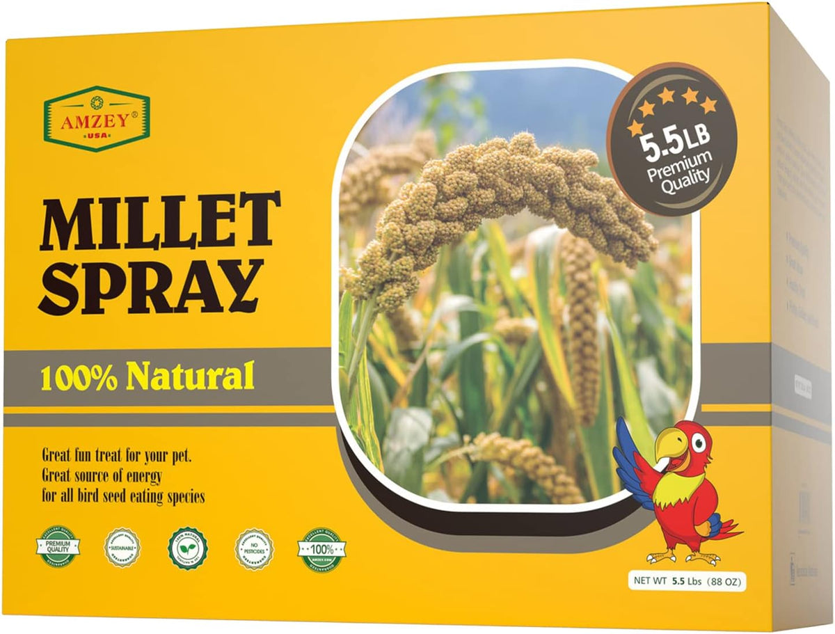 Amzey 5.5 LB Spray Millet for Parakeets, 100% Natural Dried Millet Grain for Birds, Non-GMO Bird