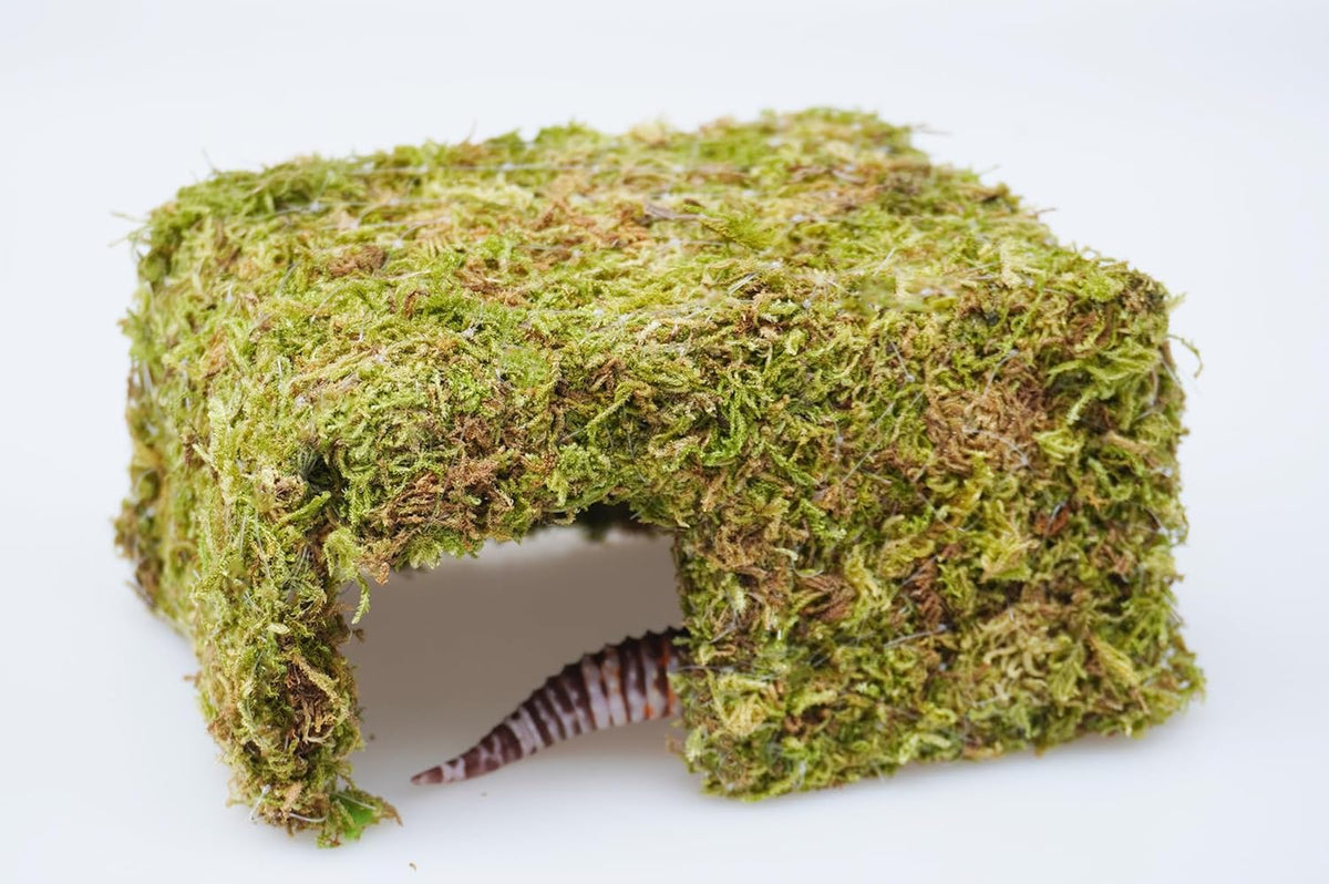 Leopard Gecko Tank Accessories, Cute Reptile Hideout Cave, Essential Tank Terrarium Habitat Decor