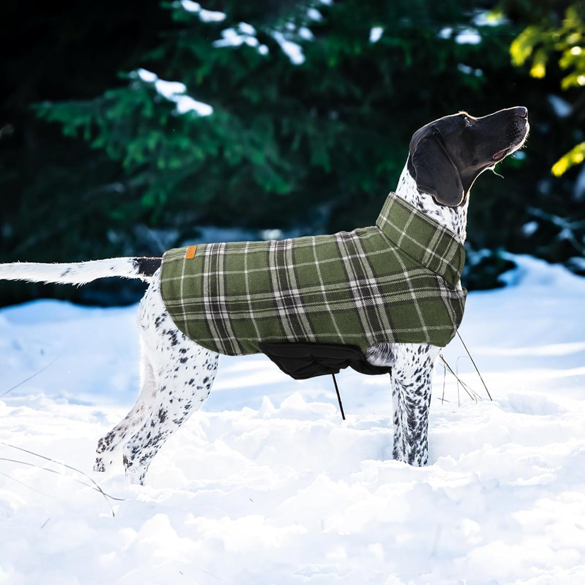 Kuoser Waterproof Dog Coat, Reversible Dog Jacket for Large Dogs, Adjustable Durable Doggie Winter