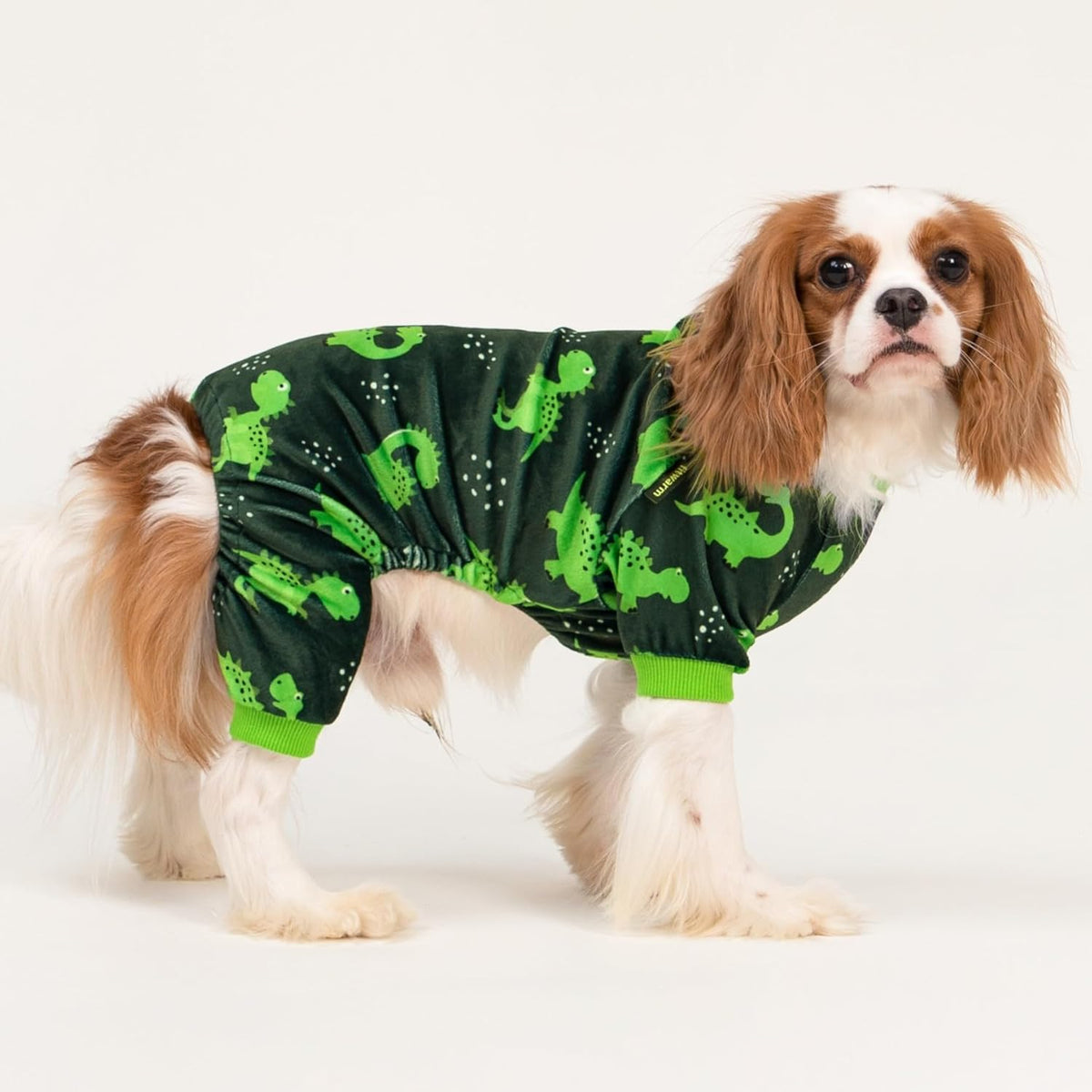 Fitwarm Dinosaur Dog Fleece Pajamas, Warm Clothes for Small Dogs Boy, Cozy Pet Onesie with Feet
