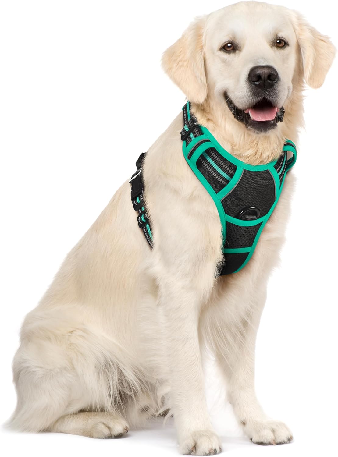 rabbitgoo Dog Harness No Pull with 2 Leash Clips, Adjustable Soft Padded, Reflective Oxford No