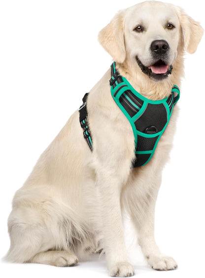 rabbitgoo Dog Harness No Pull with 2 Leash Clips, Adjustable Soft Padded, Reflective Oxford No