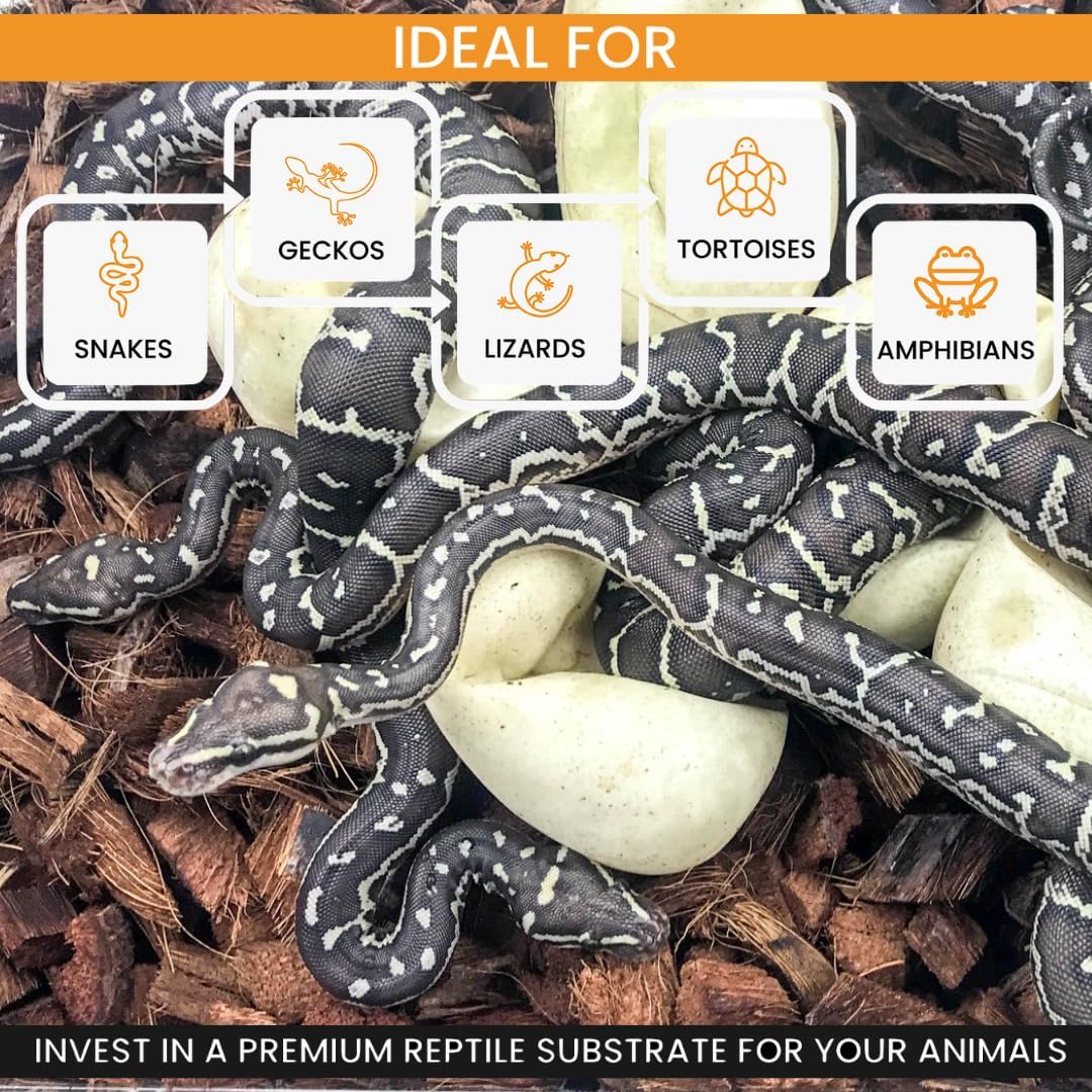 ReptiChip Reptile Bedding Loose Coconut Chip 36 Quart 4 Pack Coco Husk Substrate Mulch for Snake