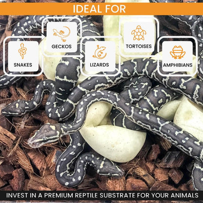 ReptiChip Reptile Bedding Loose Coconut Chip 36 Quart 4 Pack Coco Husk Substrate Mulch for Snake