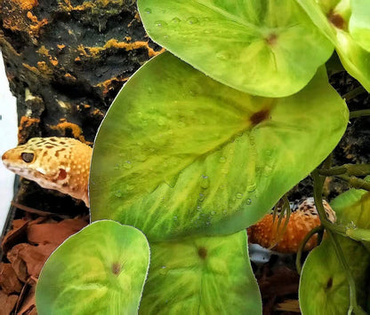 Reptile Plants for Terrarium Decor, Amphibian Habitat Decor, Snake Tank Accessories, Artificial
