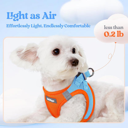 rabbitgoo Dog Harness Small Sized and Leash Set, Step in Soft Light Puppy Vest, Breathable Mesh Pet