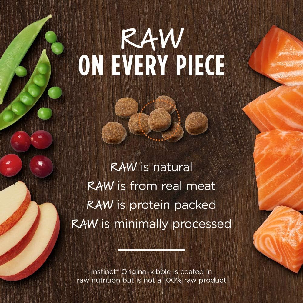 Instinct Original Dry Cat Food, Raw Coated Kibble, High Protein, Grain Free Recipe - Real Salmon