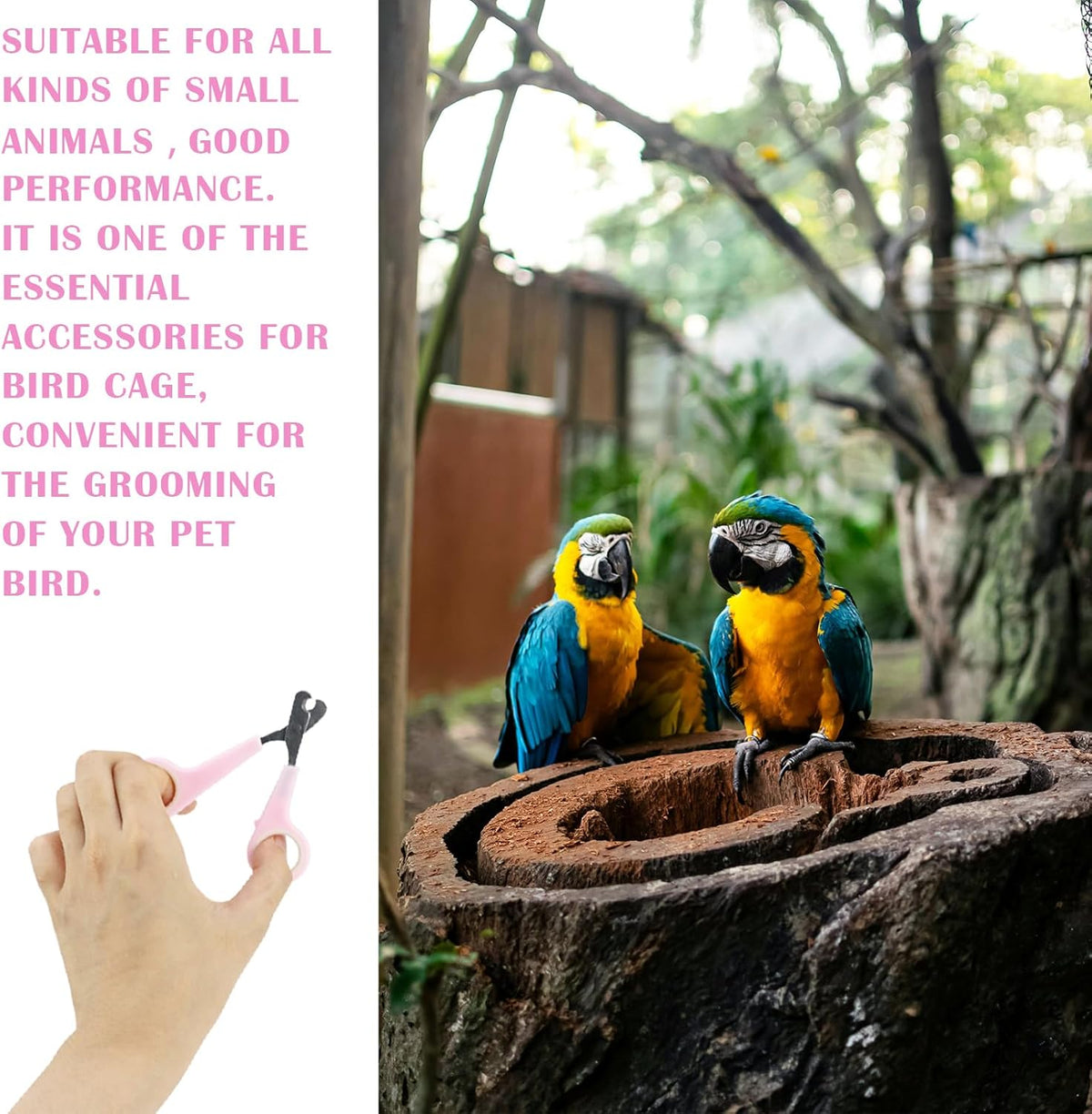 Pet Nail Clippers Grooming Tool Nail Scissors Clipper Nail Trimmers for Small Animals Pet Bird