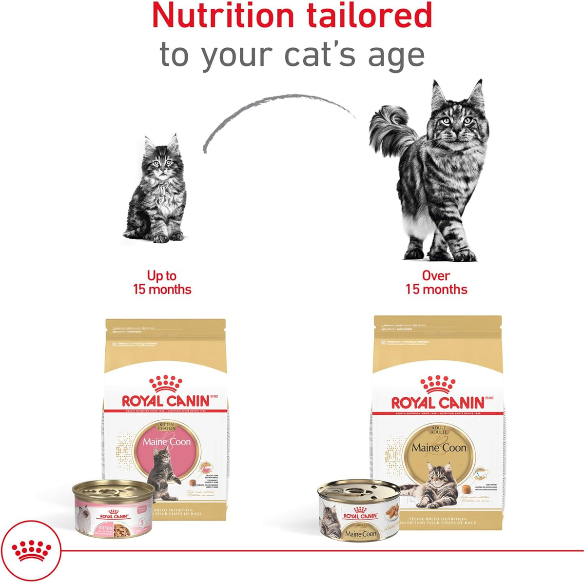 Royal Canin Feline Breed Nutrition Maine Coon Adult Thin Slices in Gravy Canned Cat Food, 3 oz can