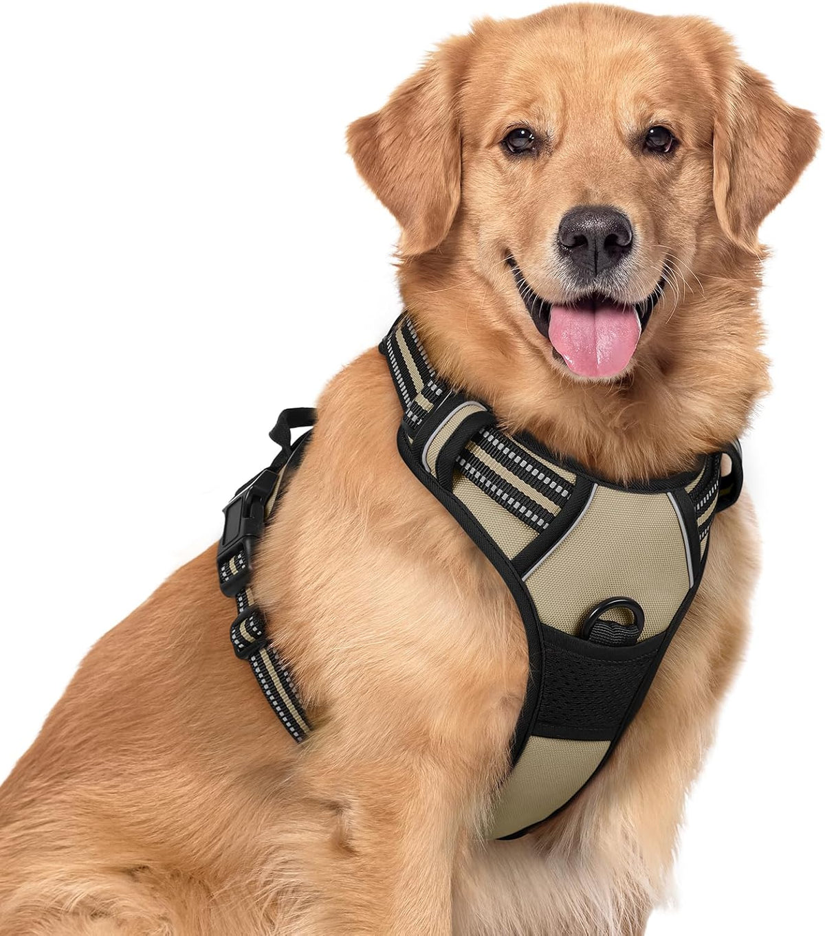 rabbitgoo Dog Harness No Pull with 2 Leash Clips, Adjustable Soft Padded, Reflective Oxford No