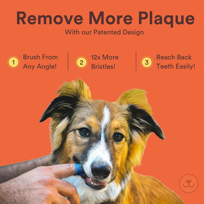 Jasper Dog Toothbrush, 360 Degree Pet Tooth Brushing Kit, Cat Toothbrush, Canine Dental Care &