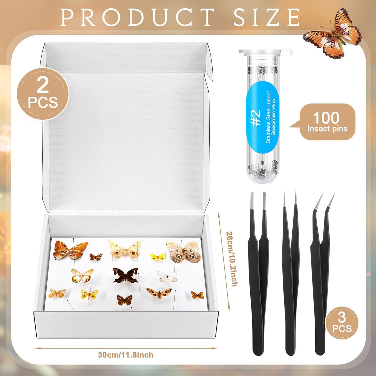 Taiyin 2 Sets Insect Pinning Kits Include 2 Insect Pinning Boxes 2 Insect Pinning Boards 100 Insect