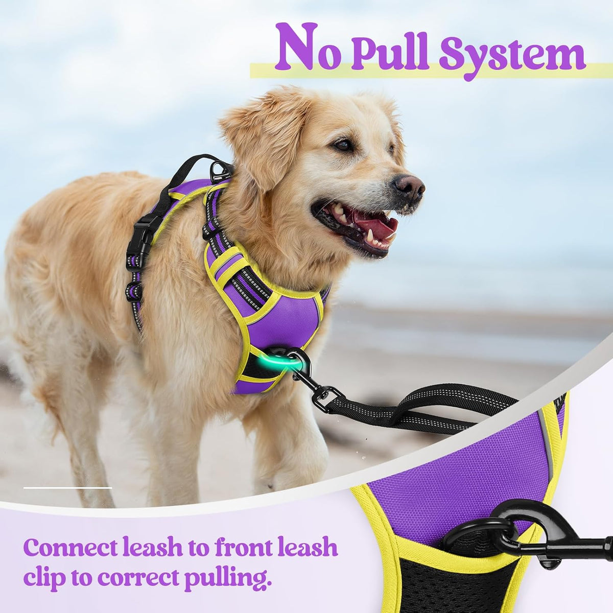 rabbitgoo Dog Harness No Pull with 2 Leash Clips, Adjustable Soft Padded, Reflective Oxford No