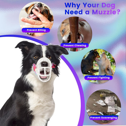 Basket Muzzle - Anti Biting Chewing, Sturdy Lightweight Allows Panting Drinking, Suitable for