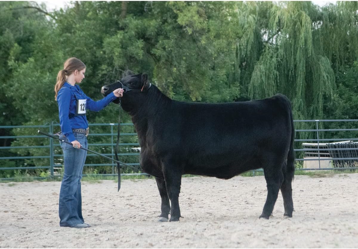 Weaver Livestock Leather Magic Show Cattle Halter, Adjustable, Modern Style Cow Calf Halter